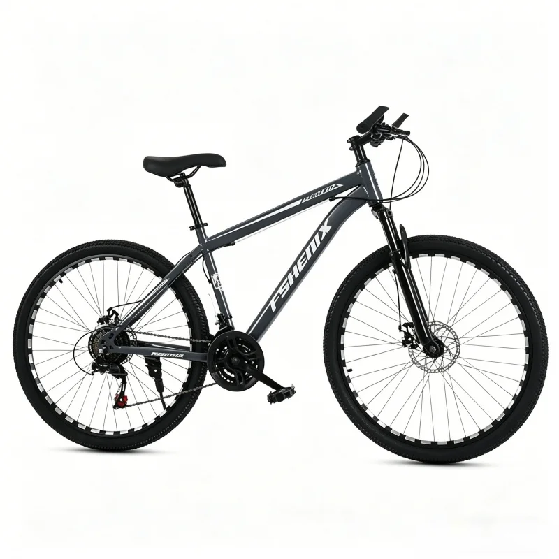 Adult 21 Speed Mountain Bike 2 - Mountain Biking Gear For Men 评论和价格