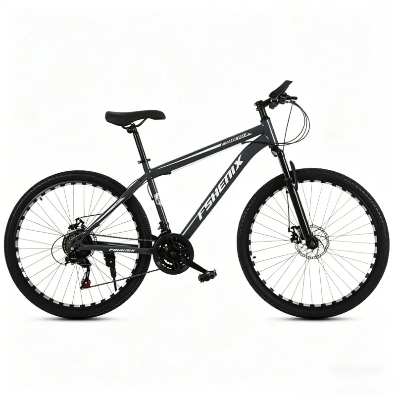 Adult 21 Speed Mountain Bike 2 - Mountain Biking Gear For Men 评论和价格