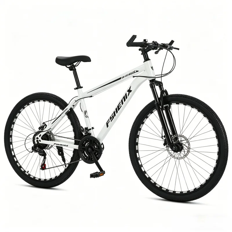 Adult 21 Speed Mountain Bike 2 - Mountain Biking Gear For Men 评论和价格