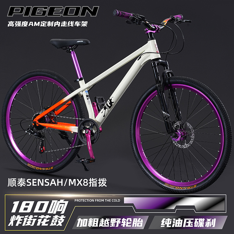 Mountain bike  youth & adult   - Mountain Biking Youth 评论和价格