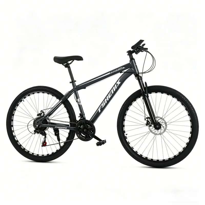 Adult 21-Speed Mountain Bike 2 - Mountain Biking Gear For Men 评论和价格
