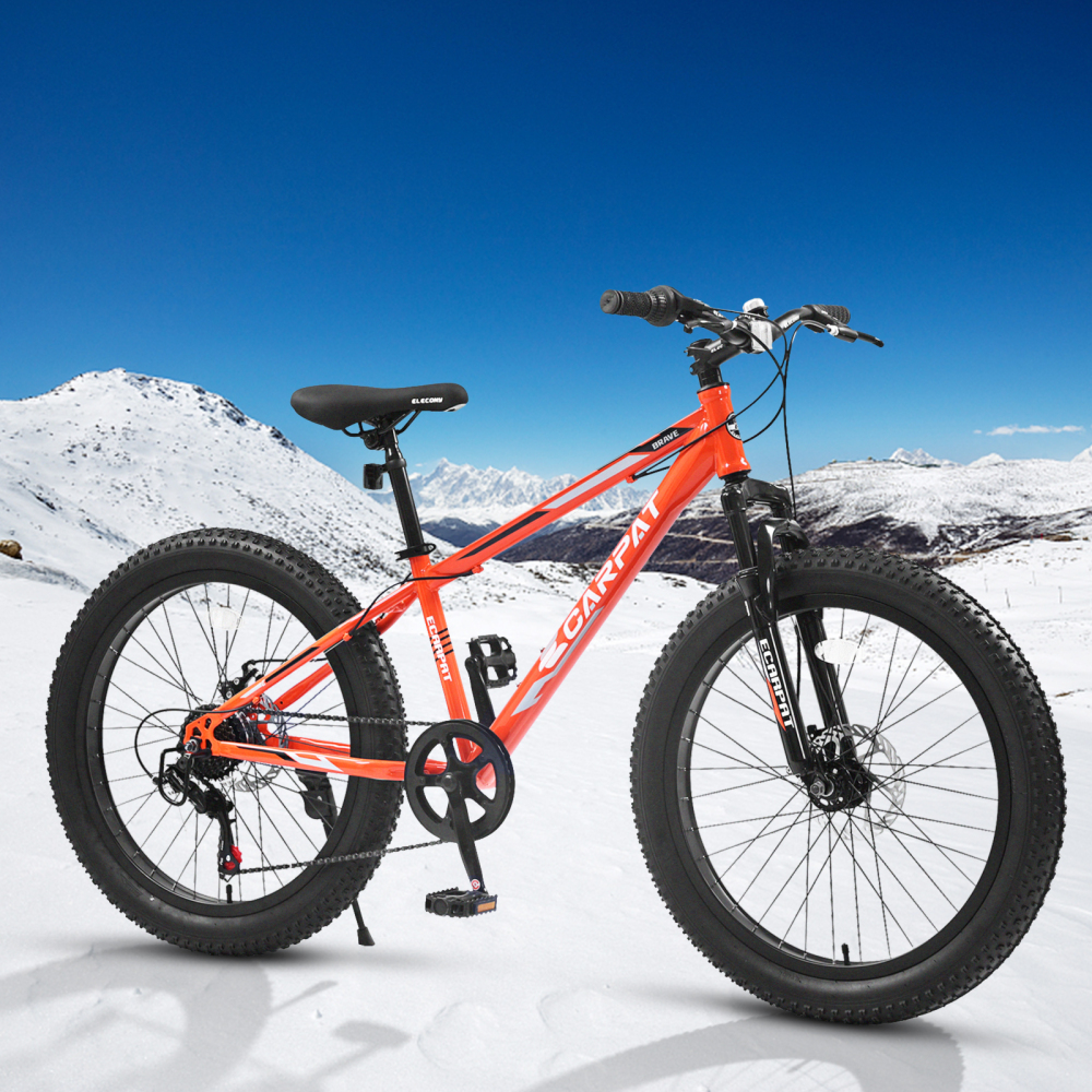 Elecony 24'' Fat Bike Adult/Yo - Mountain Biking Youth 评论和价格