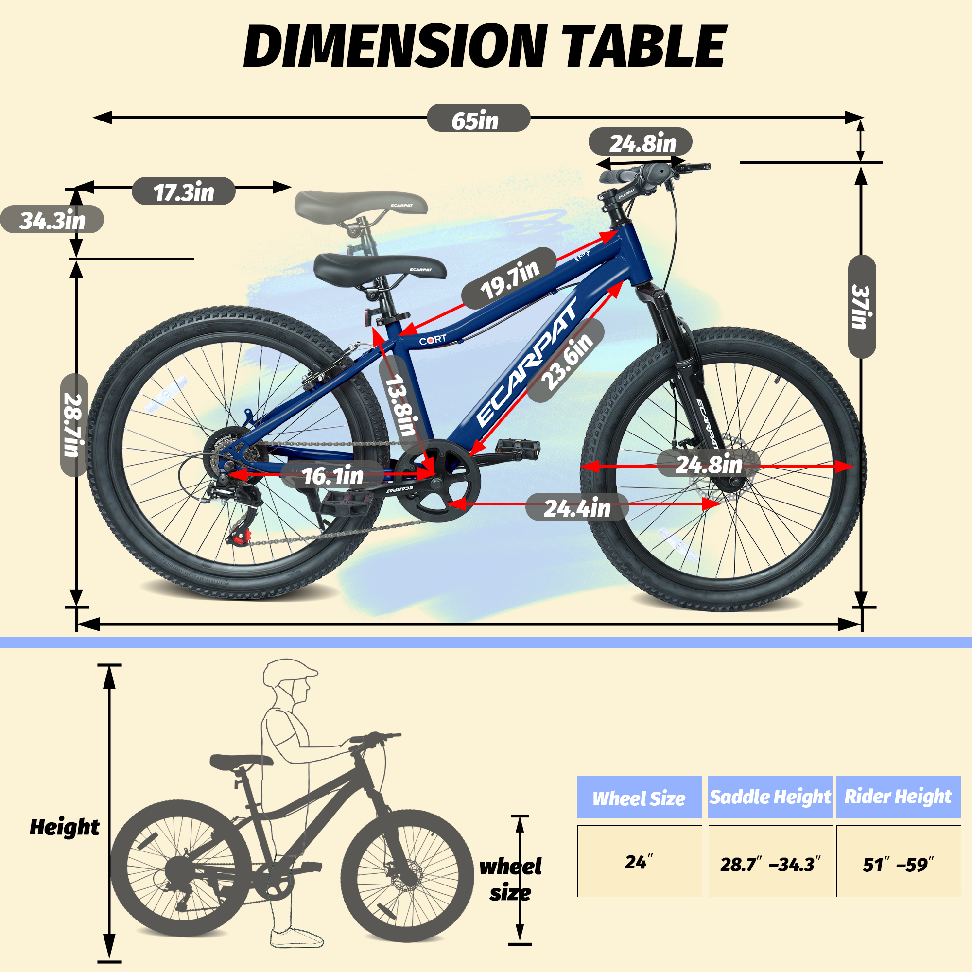 24 Inch Youth Mountain Bike -  - Mountain Biking Youth 评论和价格